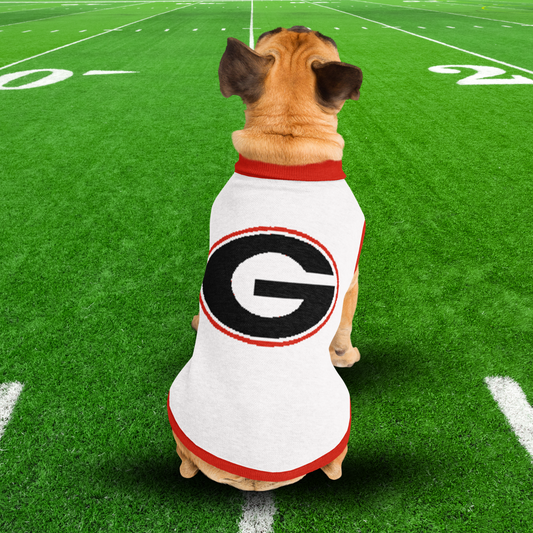 Georgia Knitted pet sweater