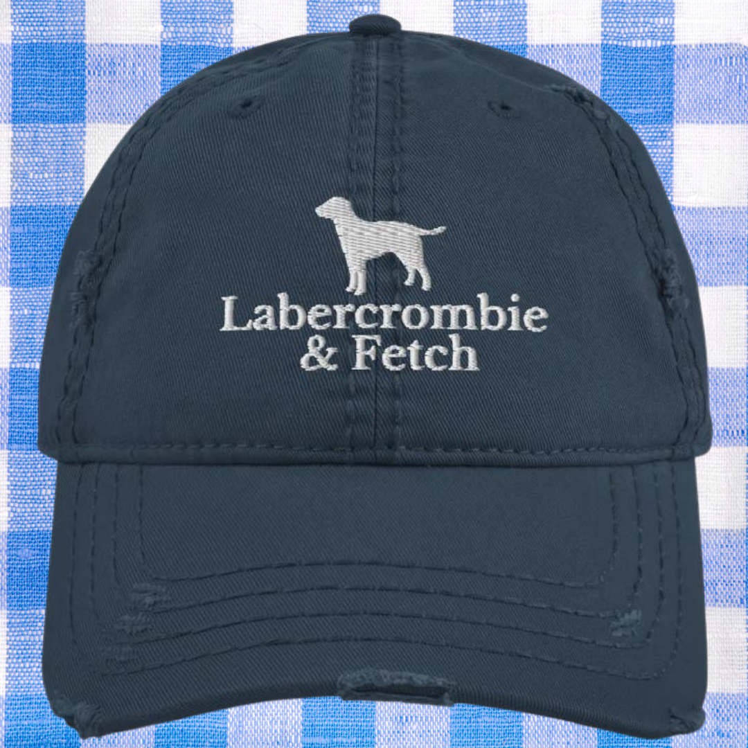 Labercrombie Distressed Dad Hat