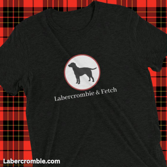 Labercrombie & Fetch t-shirt