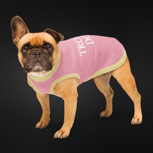 Trophy Dog Knitted pet sweater
