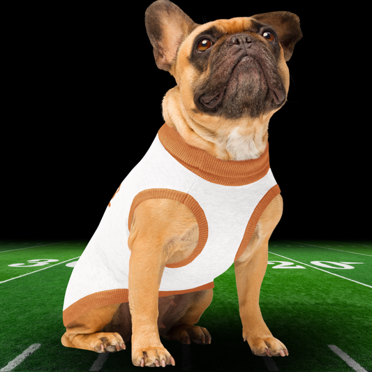 Texas Longhorns Knitted pet sweater