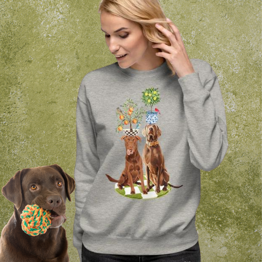 Lemons and Oranges Unisex Premium Sweatshirt