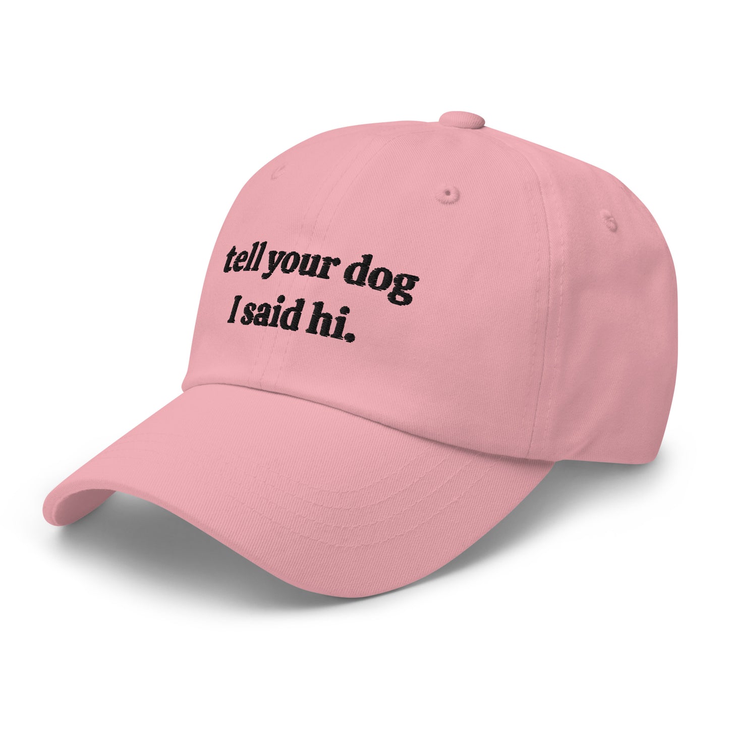 Tell Your Dog I Said Hi Dad hat