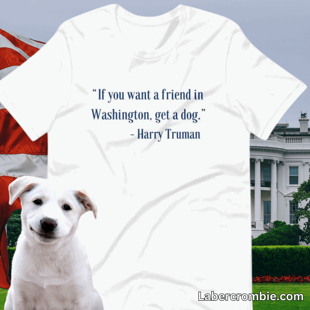 A friend in washington Unisex t-shirt