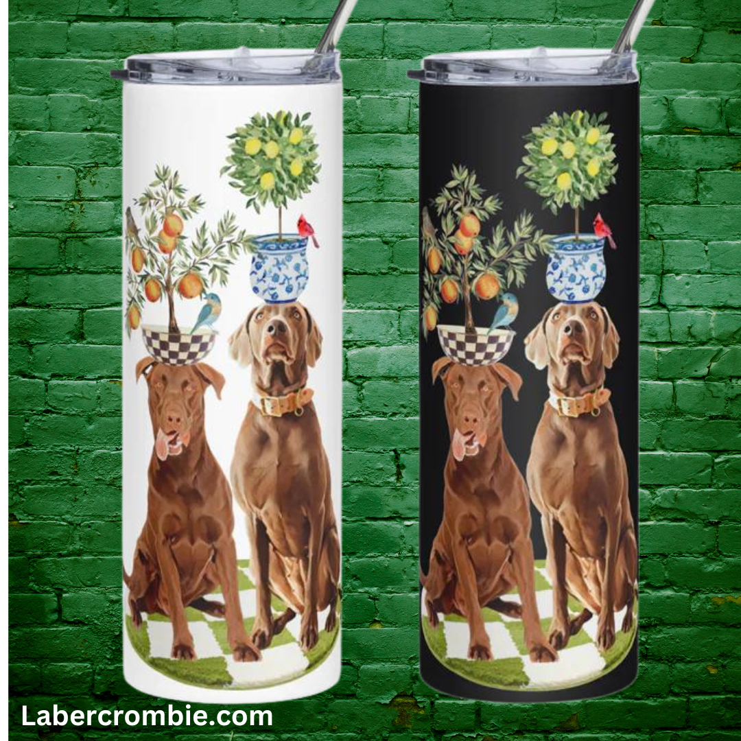 Oranges and Lemons Stainless steel tumbler