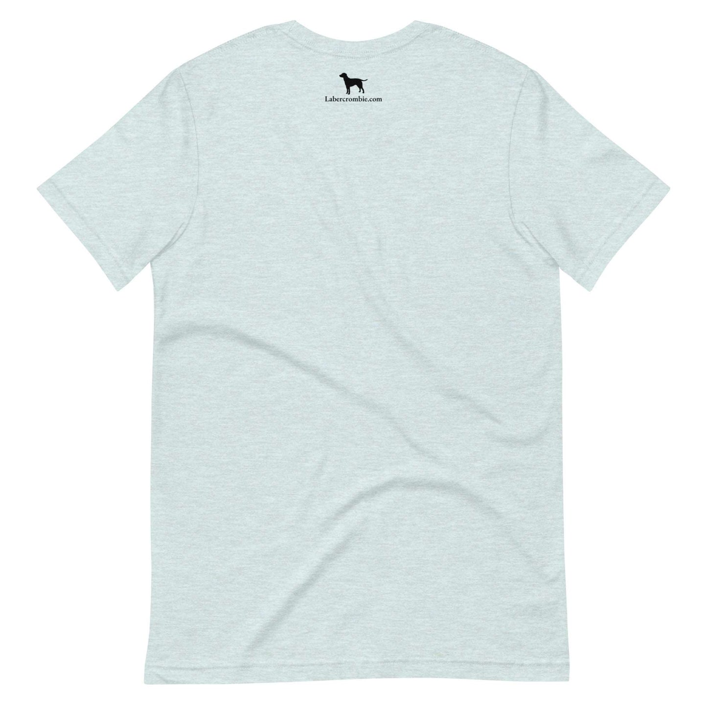 A friend in washington Unisex t-shirt