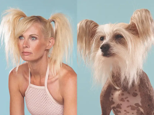 What Your Dog’s Breed Says About YOU (It’s So Accurate!)