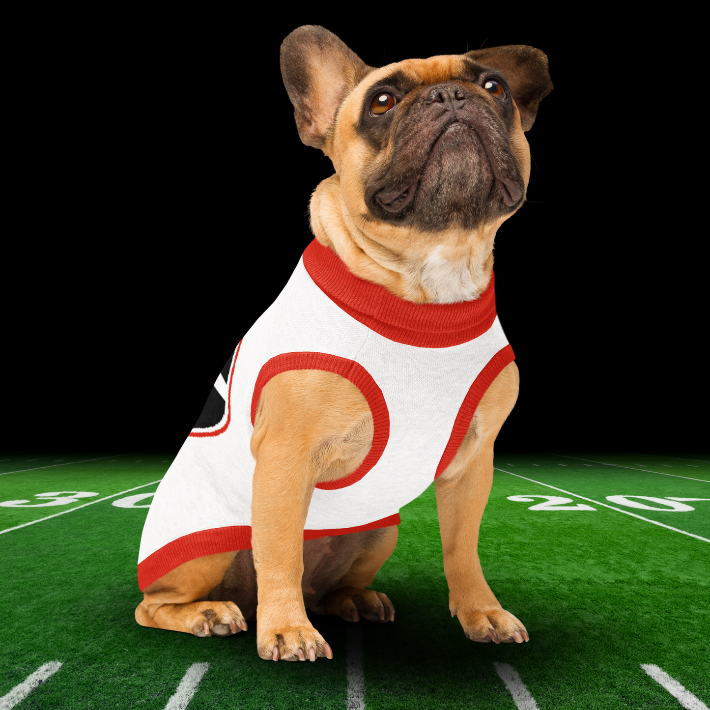 Georgia Knitted pet sweater