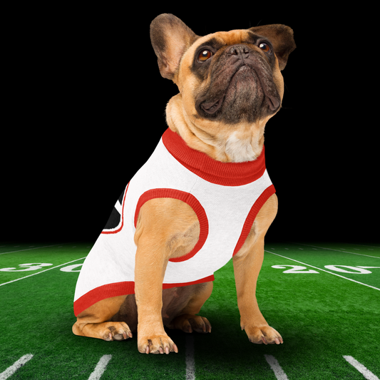 Georgia Knitted pet sweater