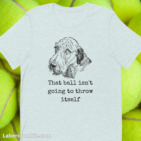 That ball isnt going to throw itself Unisex t-shirt