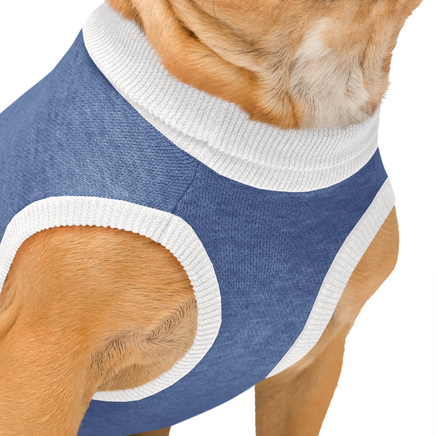 I Still Live With My Parents Knitted pet sweater