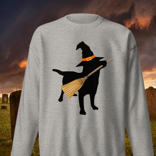 Witches Lab Unisex Premium Sweatshirt