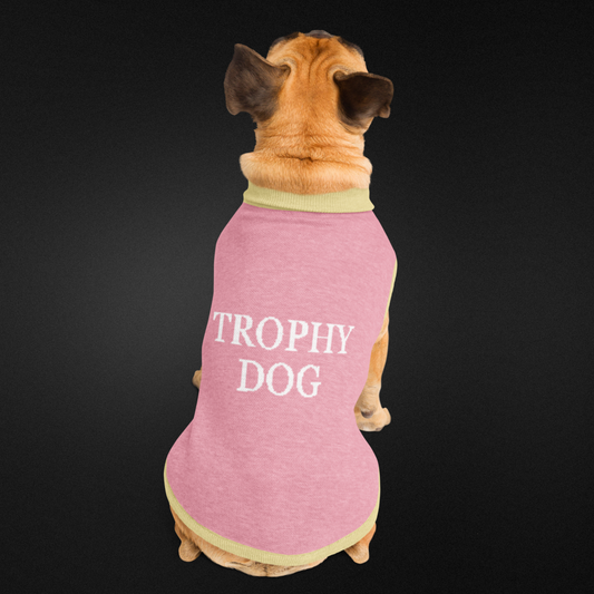 Trophy Dog Knitted pet sweater