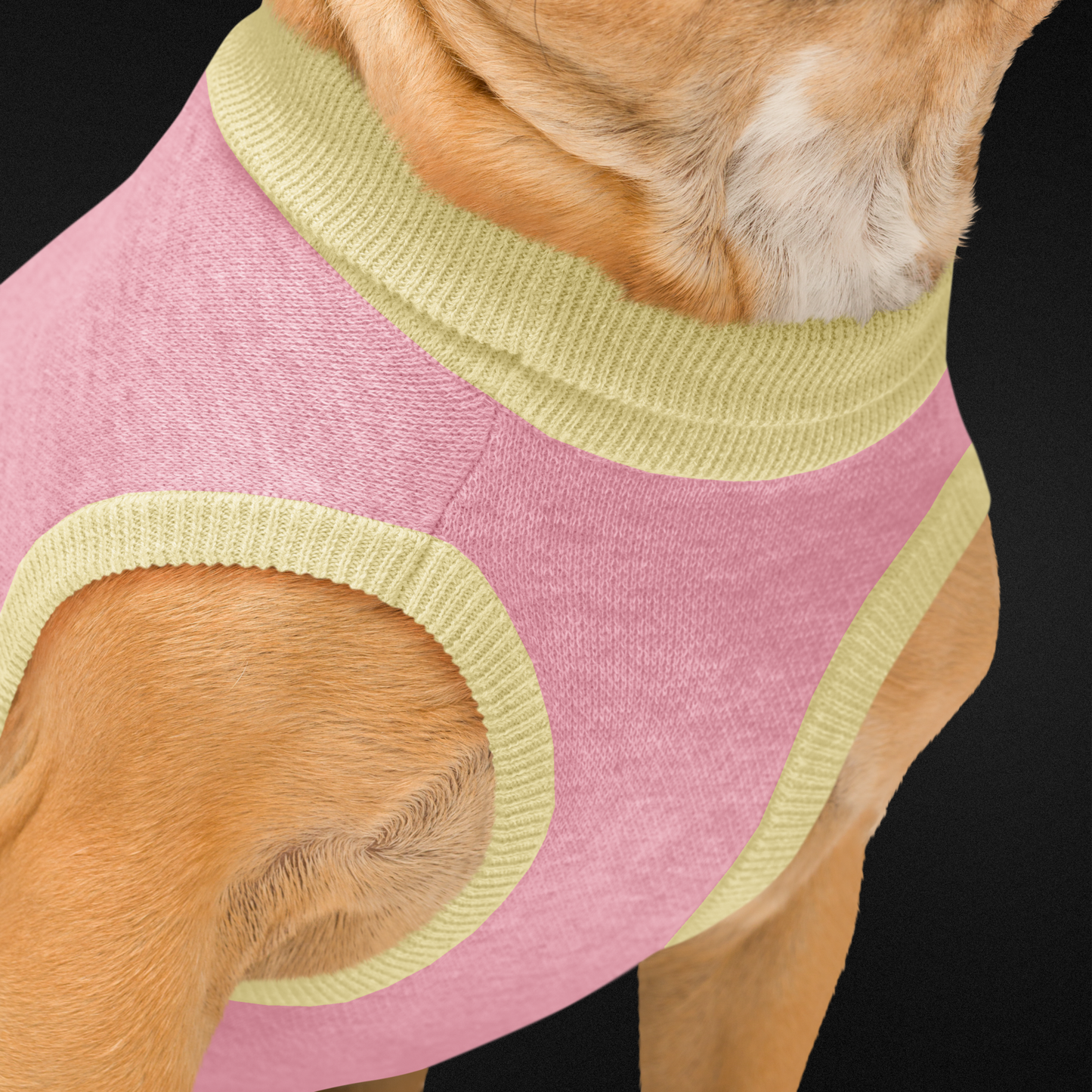 Trophy Dog Knitted pet sweater