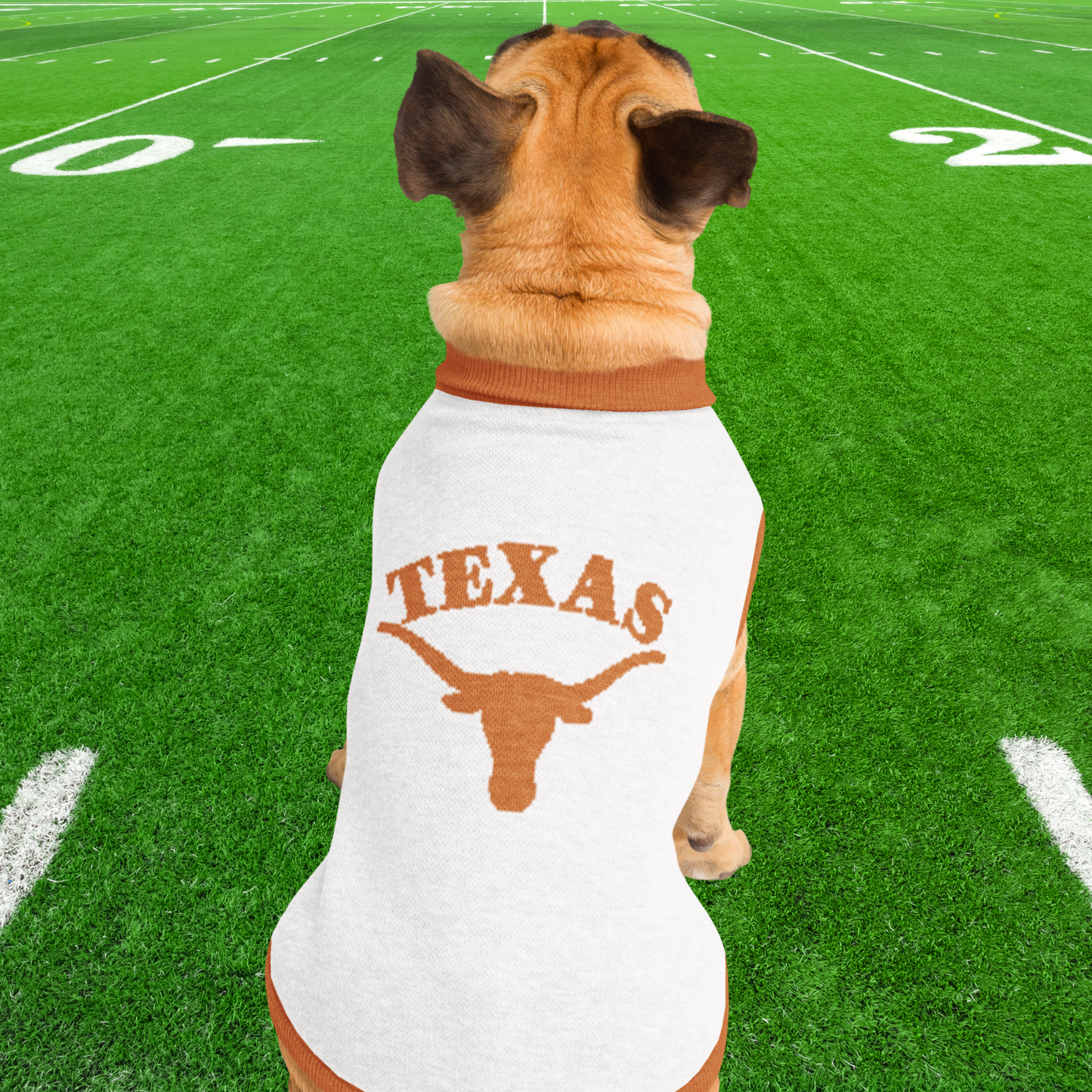 Texas Longhorns Knitted pet sweater