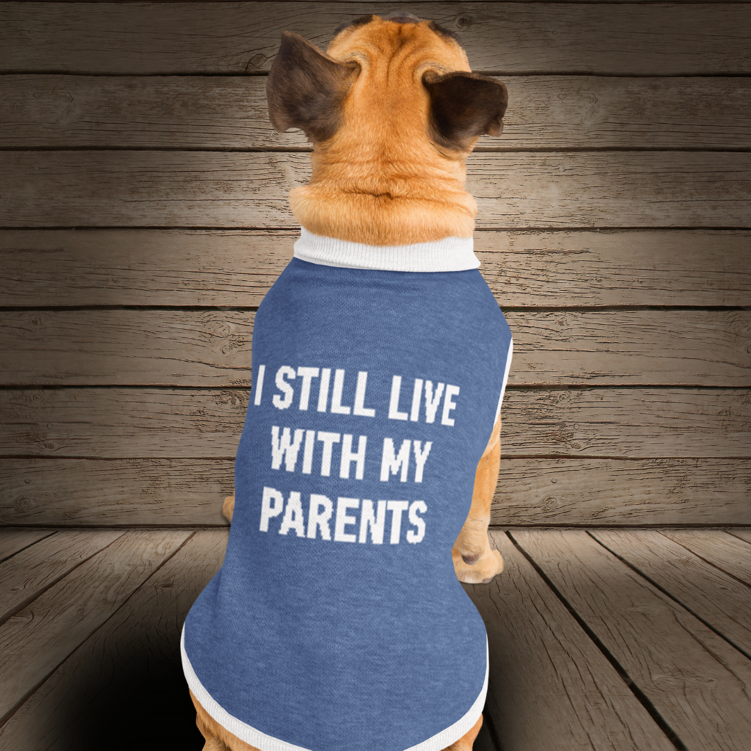 I Still Live With My Parents Knitted pet sweater