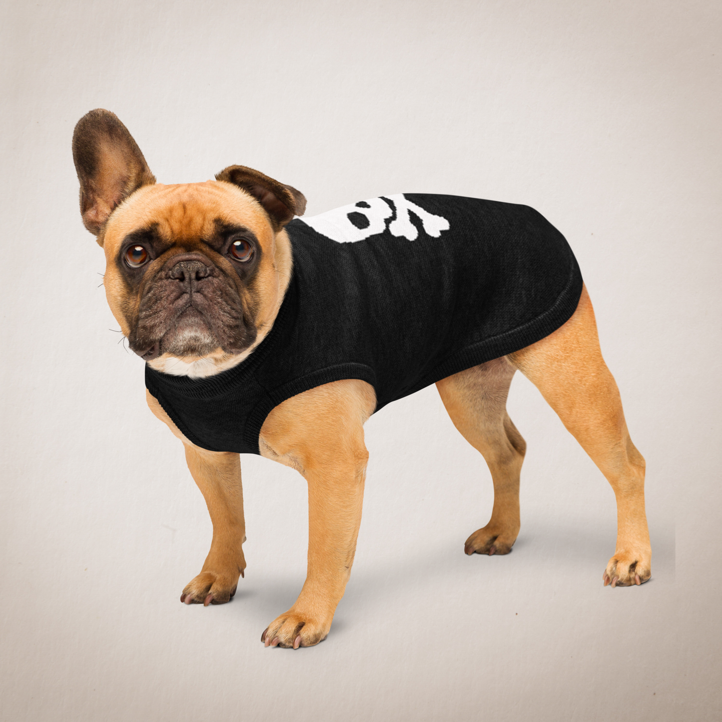 Jolly Roger Knitted pet sweater