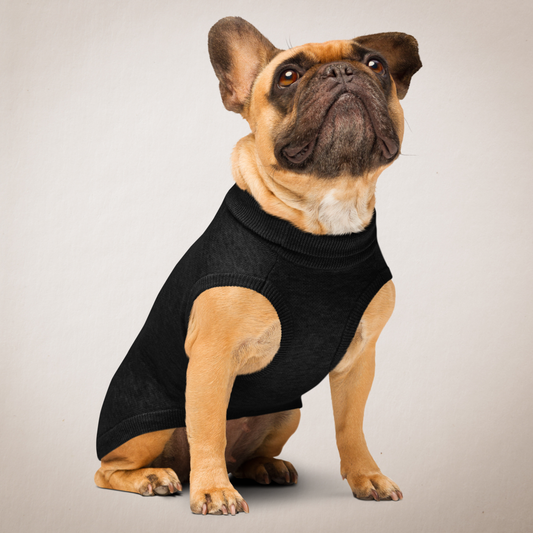 Jolly Roger Knitted pet sweater