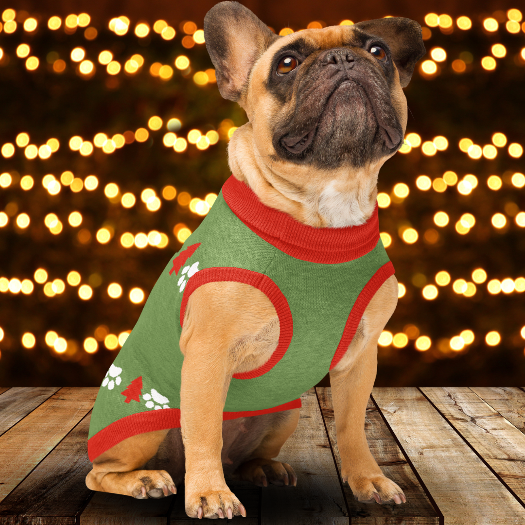 Naughty or Nice Knitted pet sweater