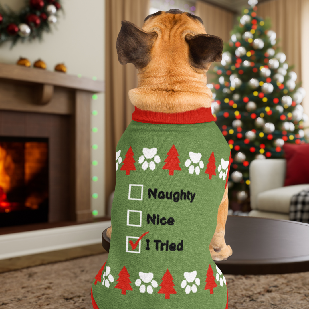 Naughty or Nice Knitted pet sweater