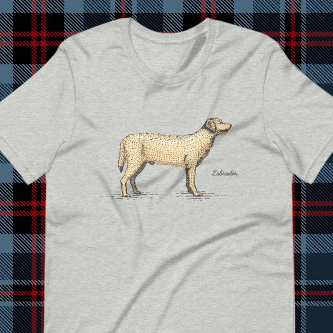 Labrador Unisex t-shirt