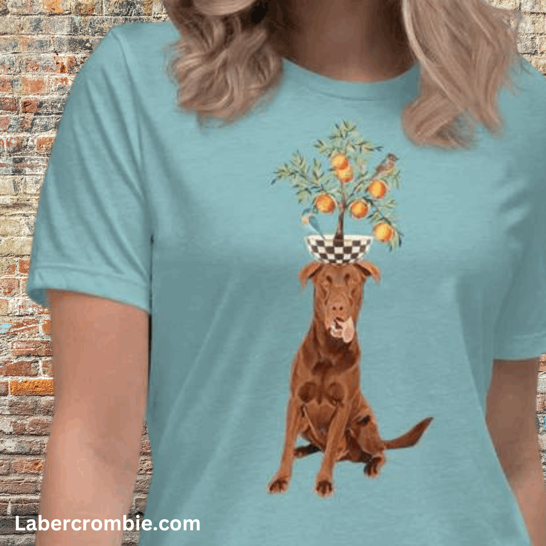Chocolate and Oranges Women's Relaxed T-Shirt