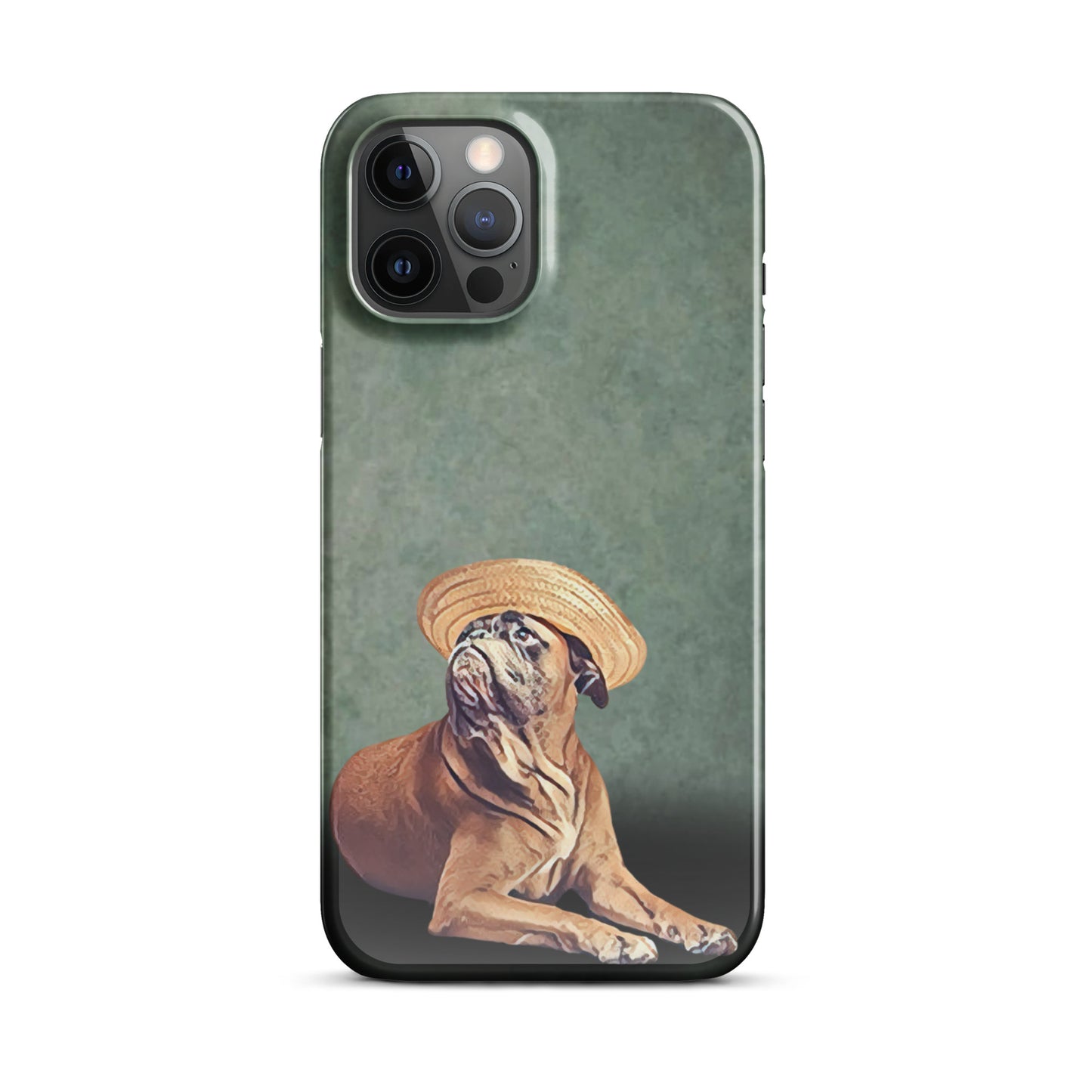 Bermuda Boxer Snap case for iPhone®