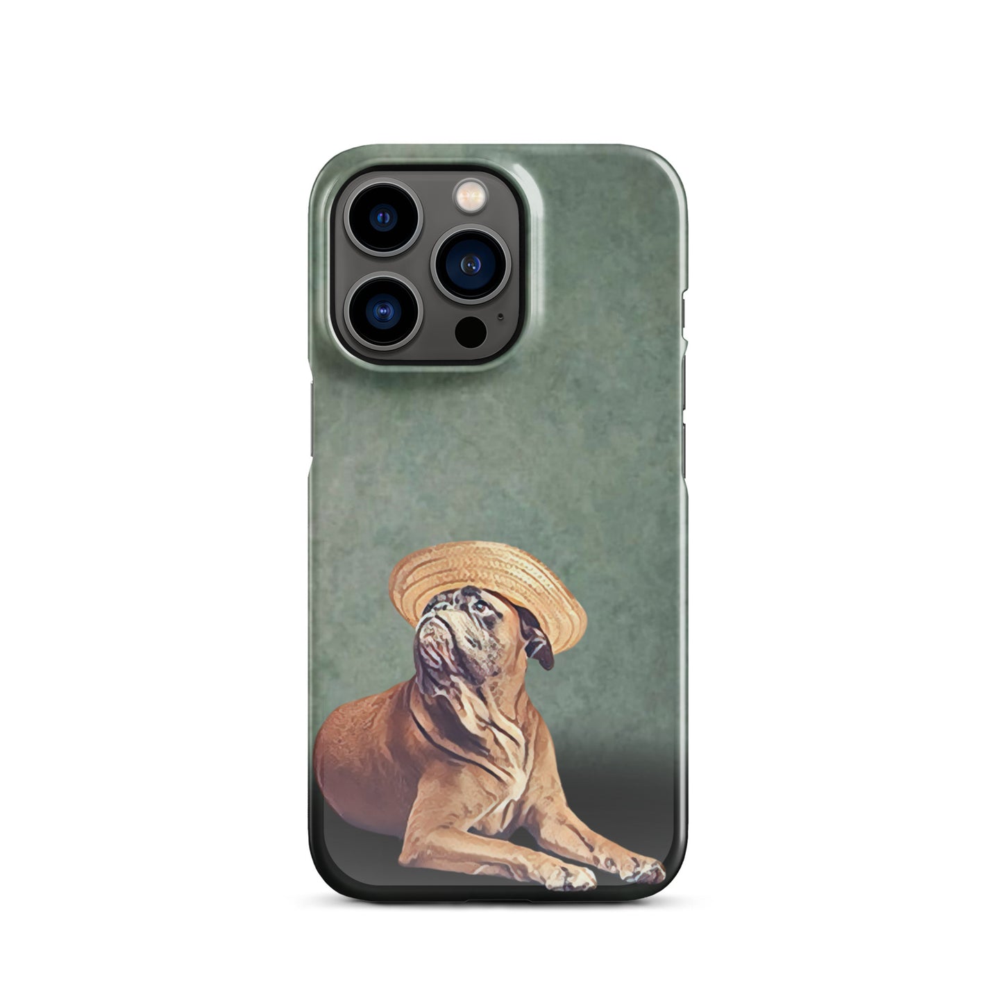 Bermuda Boxer Snap case for iPhone®