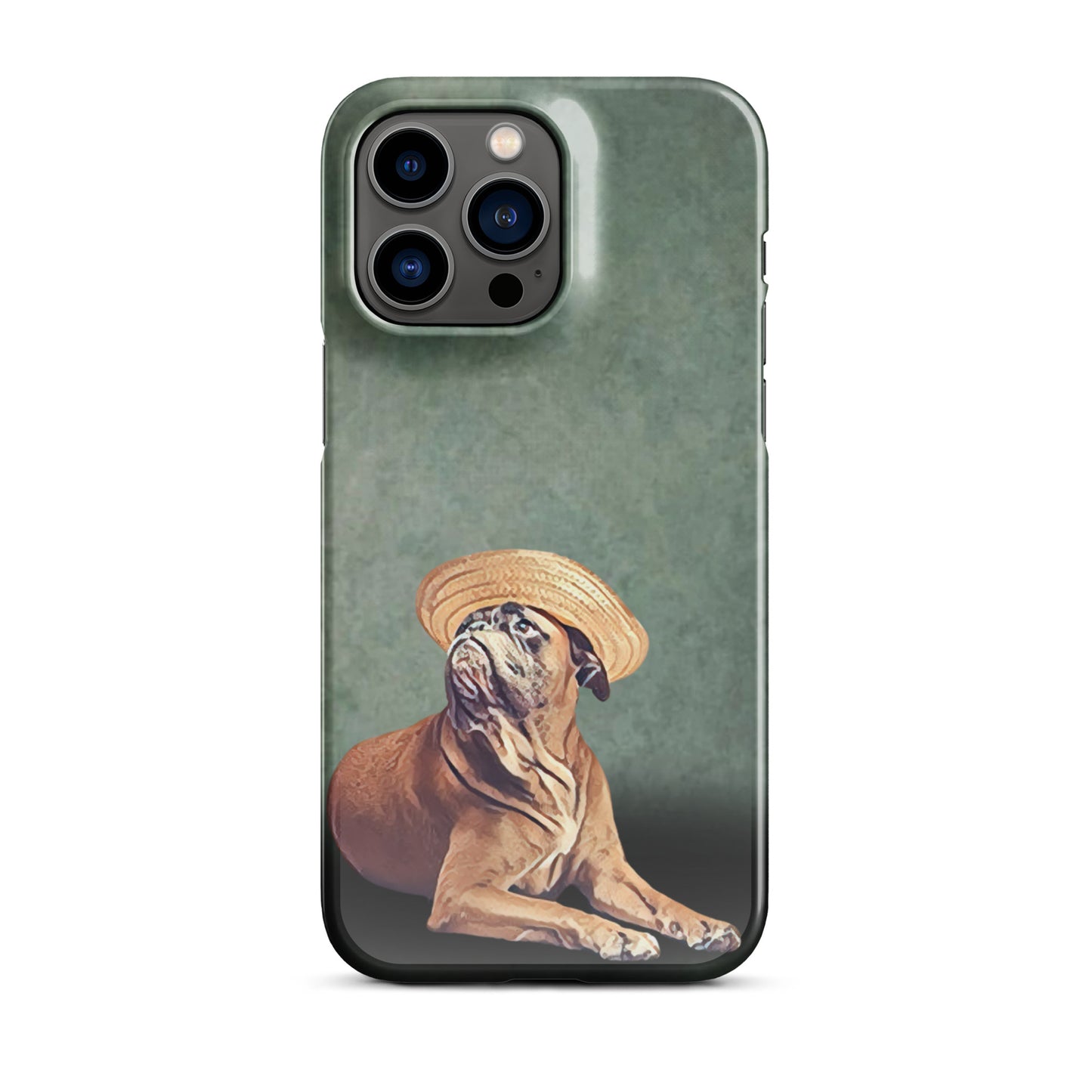 Bermuda Boxer Snap case for iPhone®